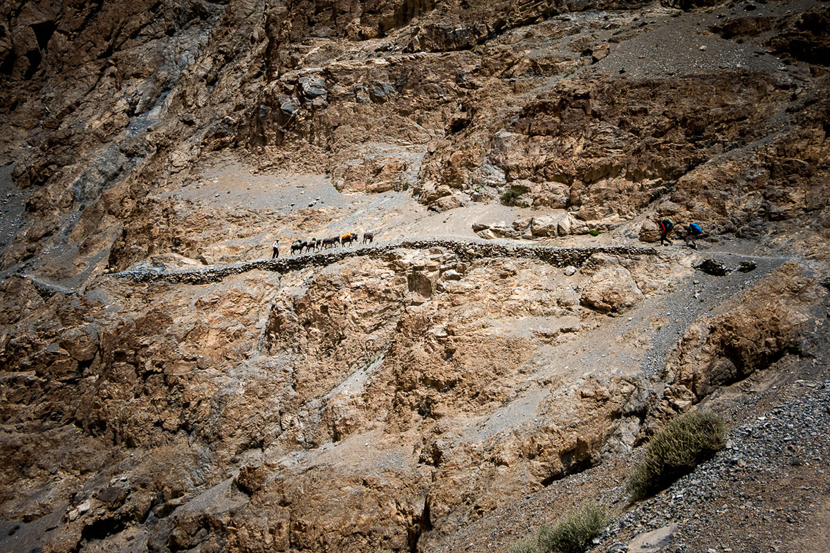 The last shepherdesses of Pamir, Pakistan/ Please DO Not Use