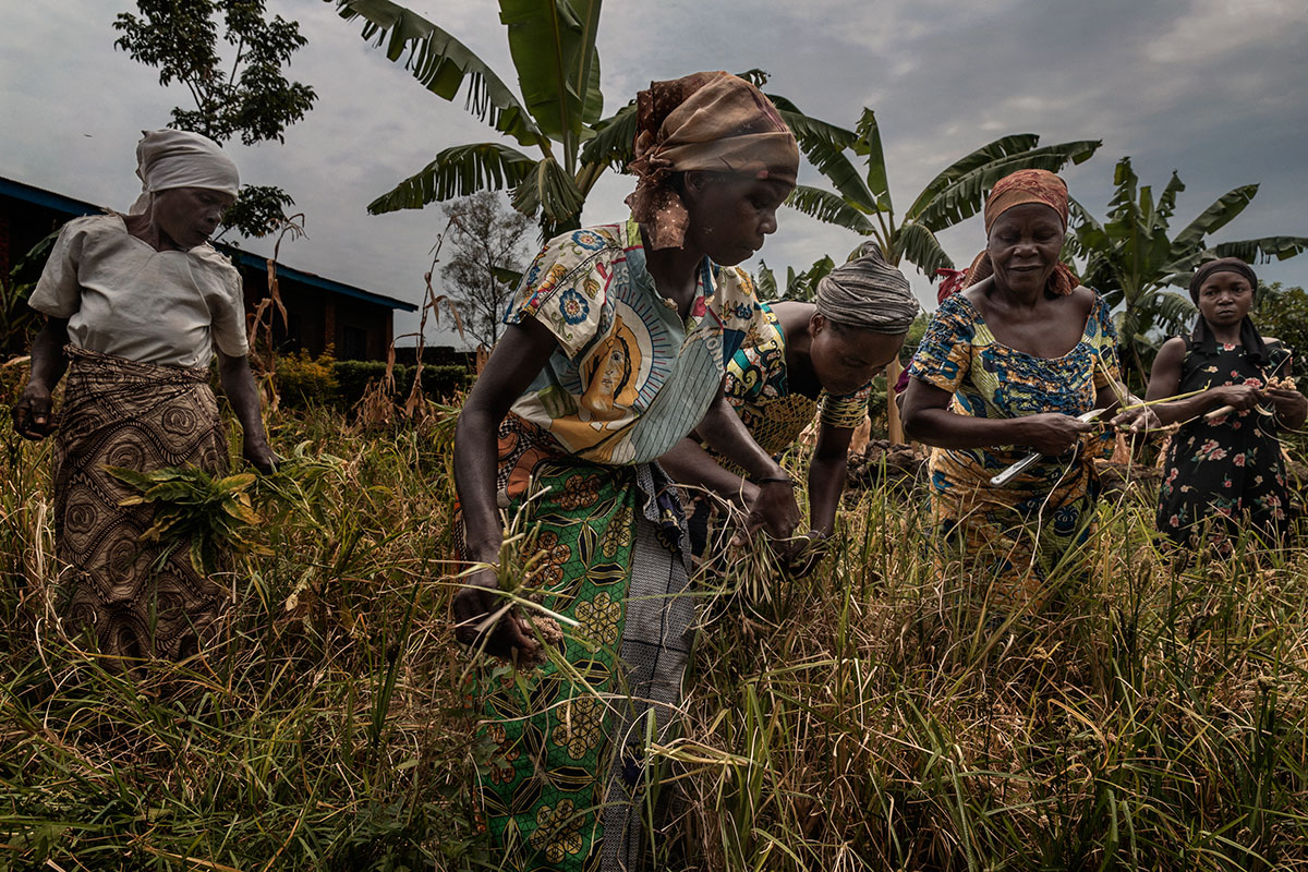 Sons of Violence - Rape in the Congo/ Please Do Not Use
