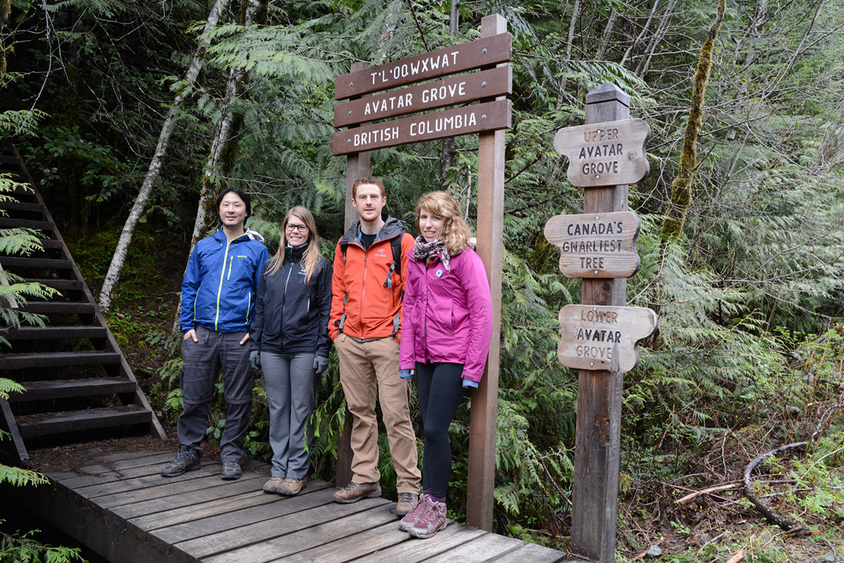 Saving Canada''s Giant Trees/Please Do Not Use