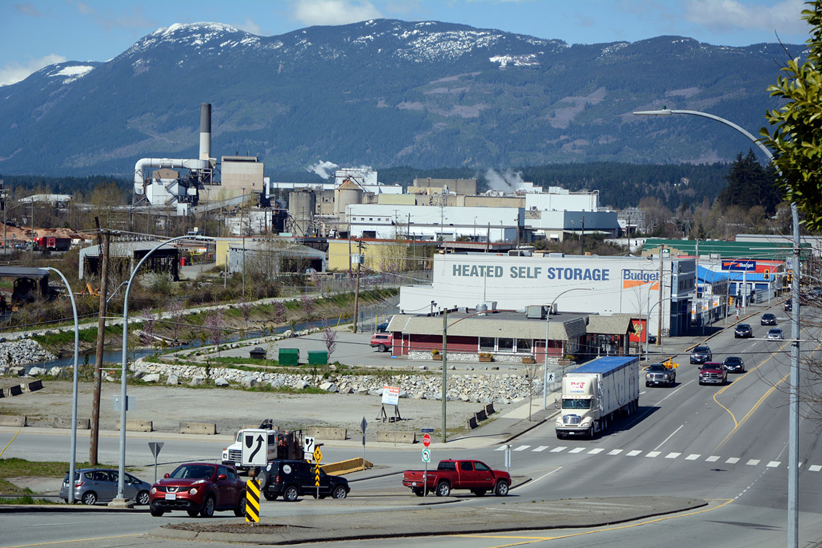 Saving Canada''s Giant Trees/Please Do Not Use