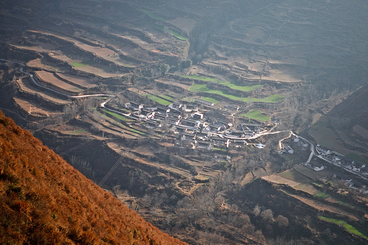 Saving China’s Pandas/Please Do Not Use