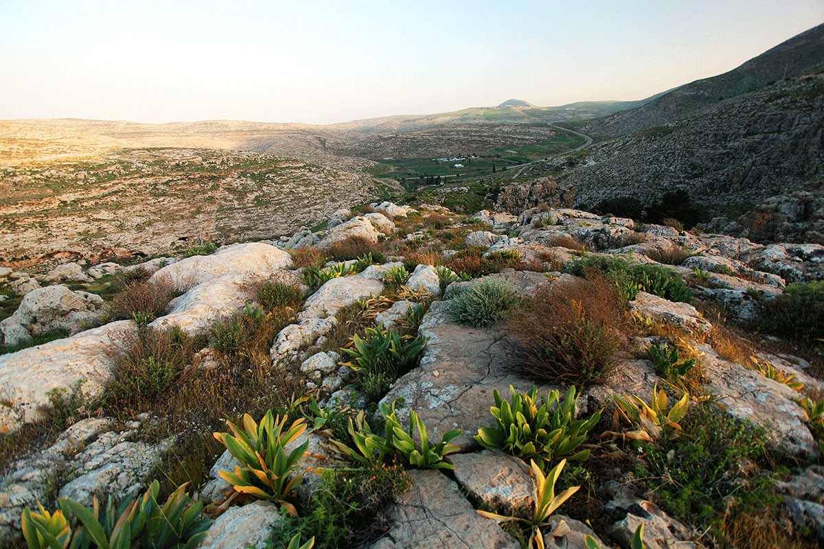 Walking a path of resistance/Please Do Not Use