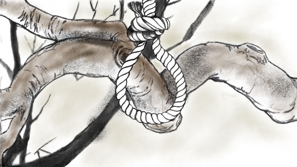 New Illustrations - Please do not use