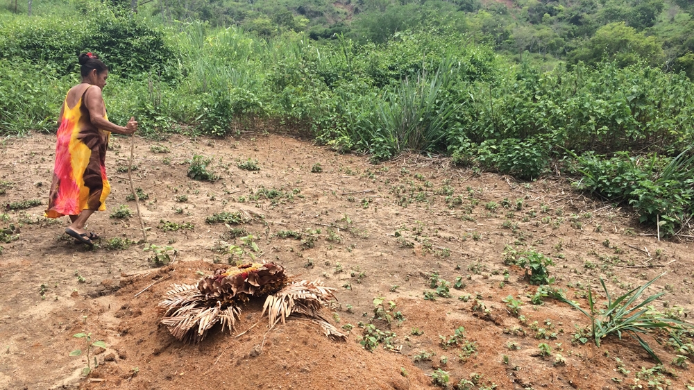 
'The river was a strong medium where we practised our culture, and today we cannot do that anymore,' says Leonir Boka, the chief of Atora village [Patrik Camporez/Agencia Publica]
