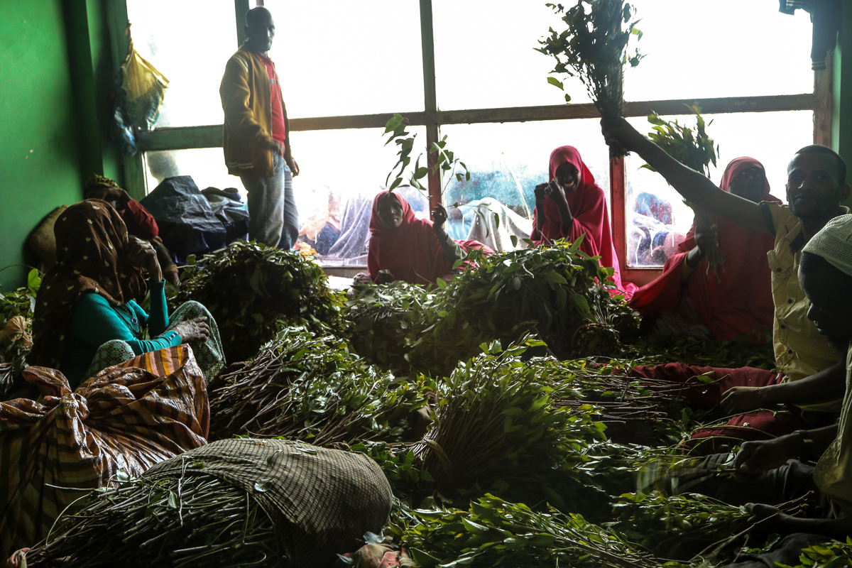 The walled city of Harar in eastern Ethiopia.