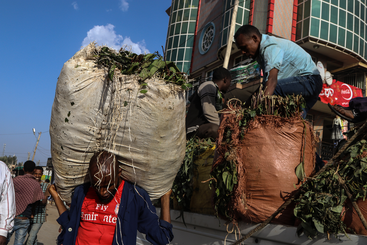 The walled city of Harar in eastern Ethiopia.