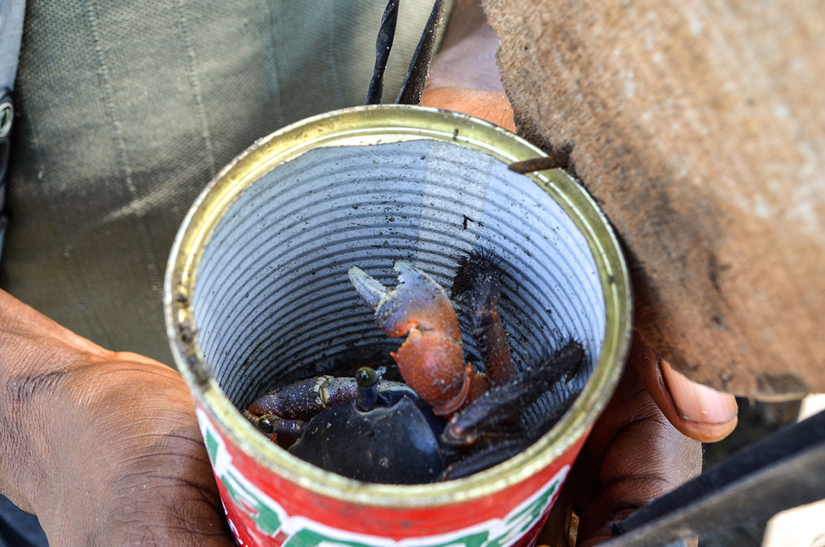 Bodo Village, Nigeria / Please DO Not Use