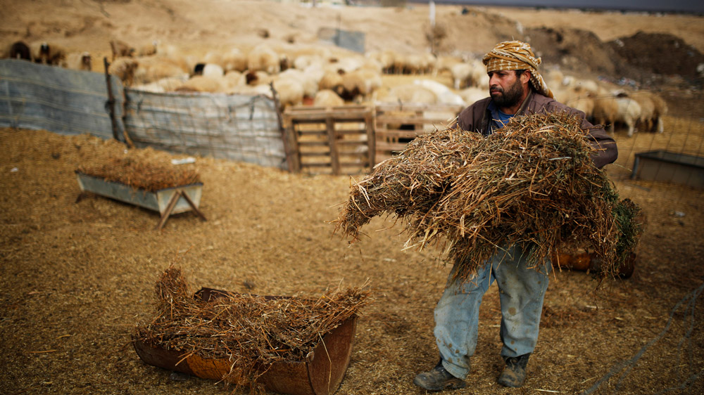 bedouin outside image