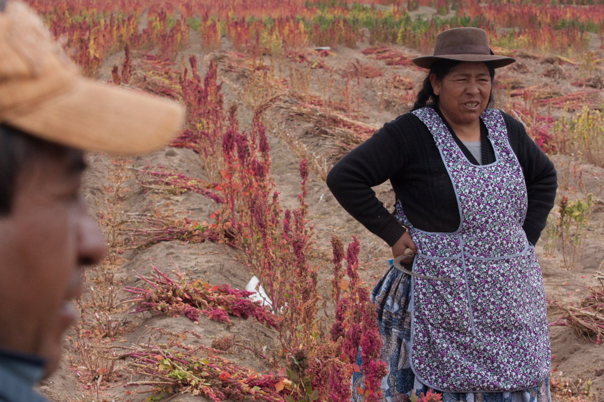 Bolivian Superfood''s Harvest/Please Do Not Use