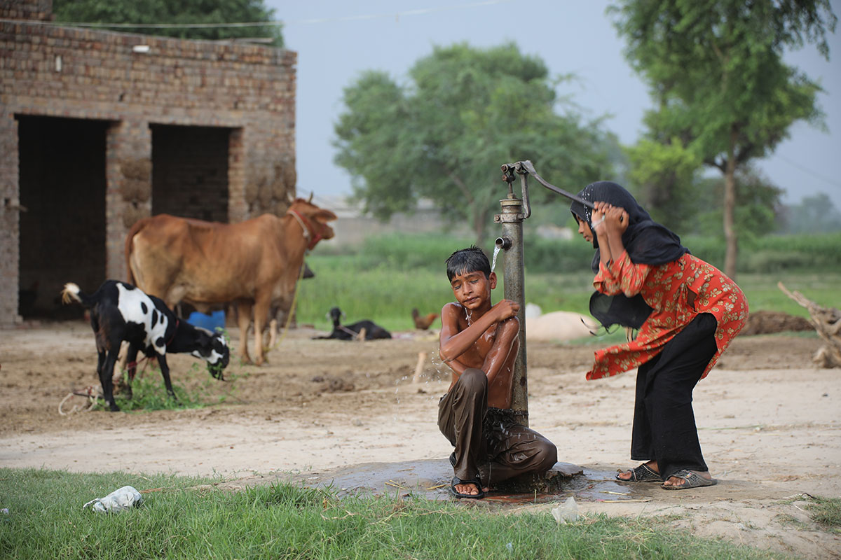 PARTITION PHOTO /PLEASE DO NOT USE