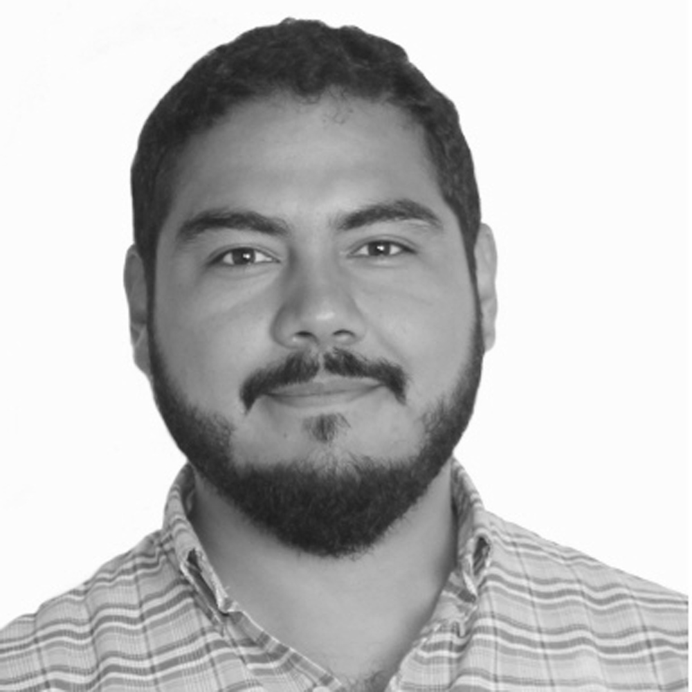 Alfredo Ortega Franco