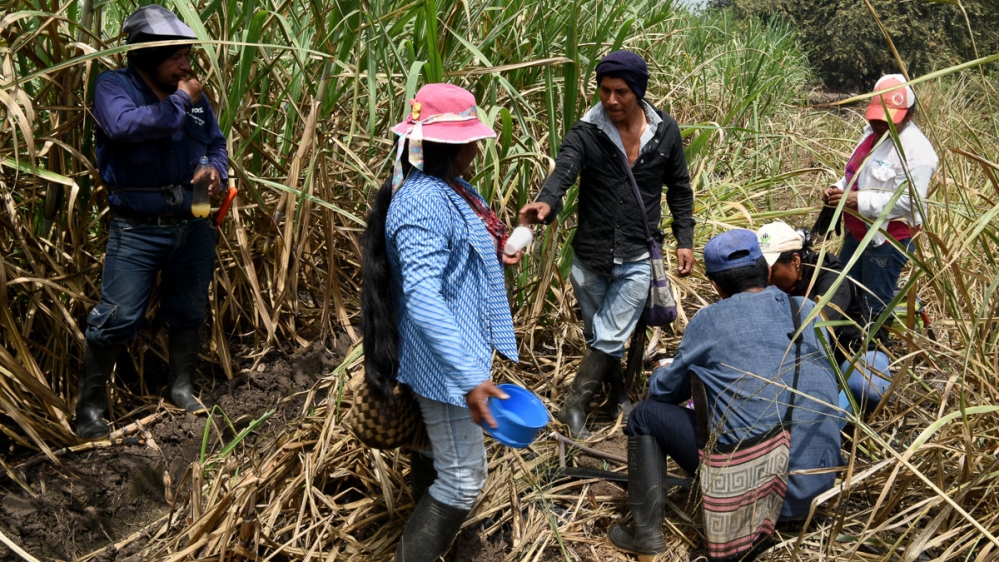 A group of indigenous people drink 