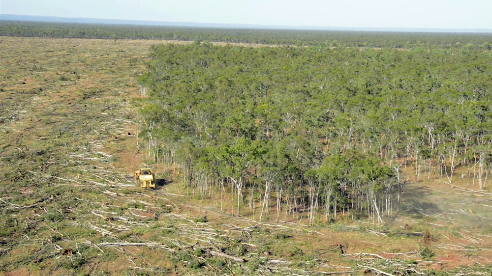 Australia deforestation