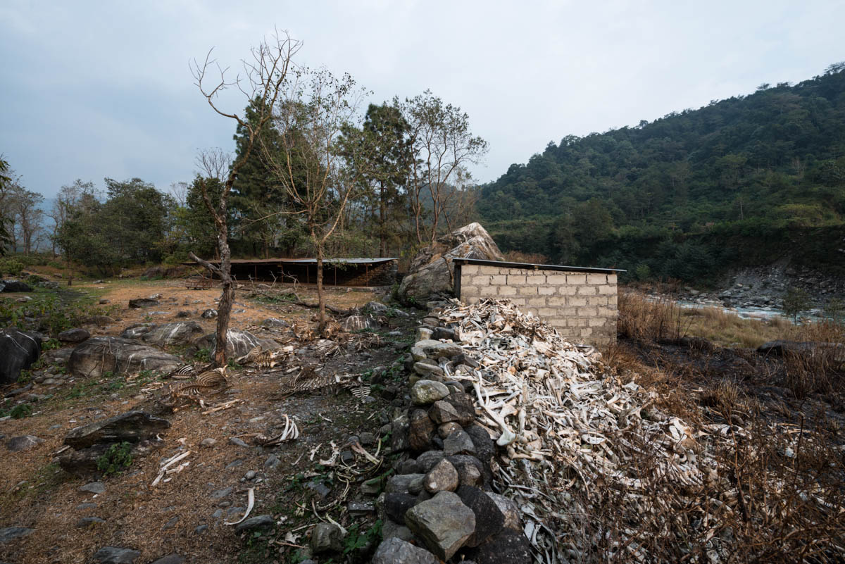 The vulture restaurant