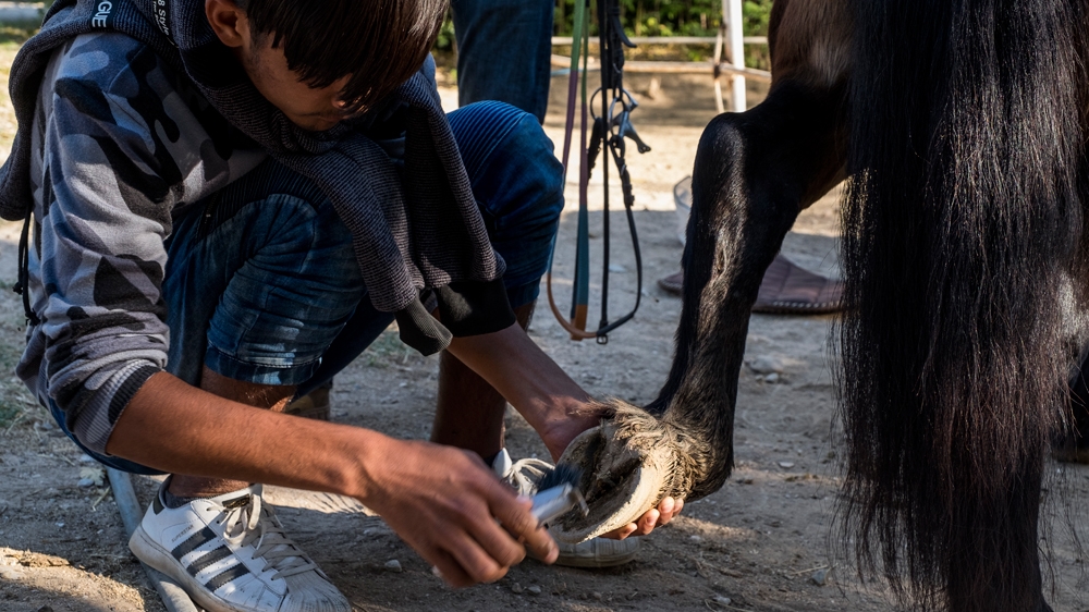 Learning to manage a horse helps children to manage their own situations, experts say [Fahrinisa Oswald/Al Jazeera] 
