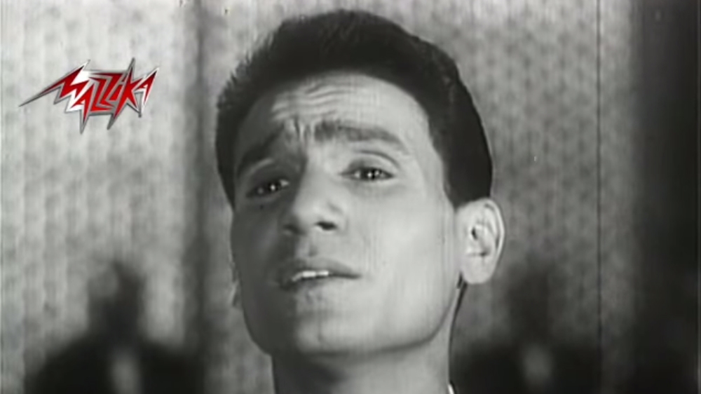 Abd El Halim Hafez