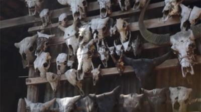 Barking deer, wild pig, buffalo and bears have all fallen victim to the hunting habits of villagers near the Natma Taung National Park. The park is too large for a single ranger to control [Al Jazeera]