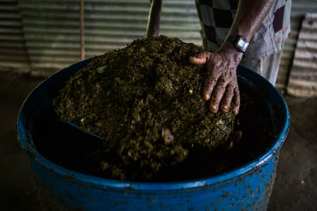 Colombia''s Coca Paradise