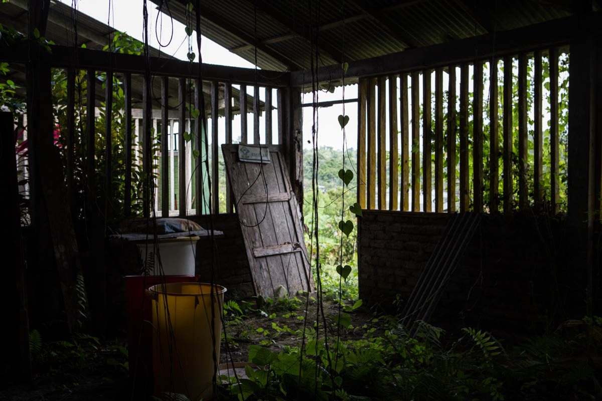 Colombia''s Coca Paradise 