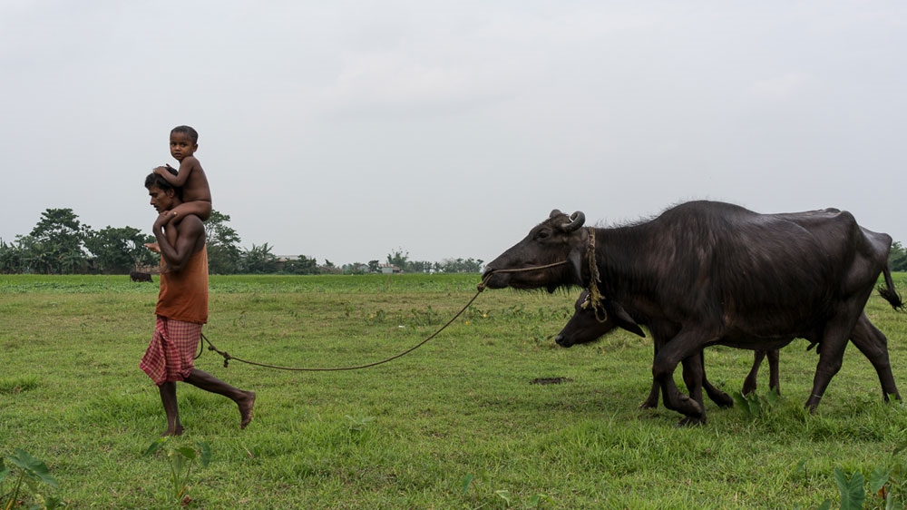 Bengali origin people suffer from mass illiteracy and poverty [Al Jazeera]