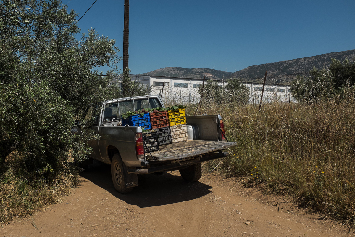 Between bureaucracy and violence, Pakistanis in Greece push back