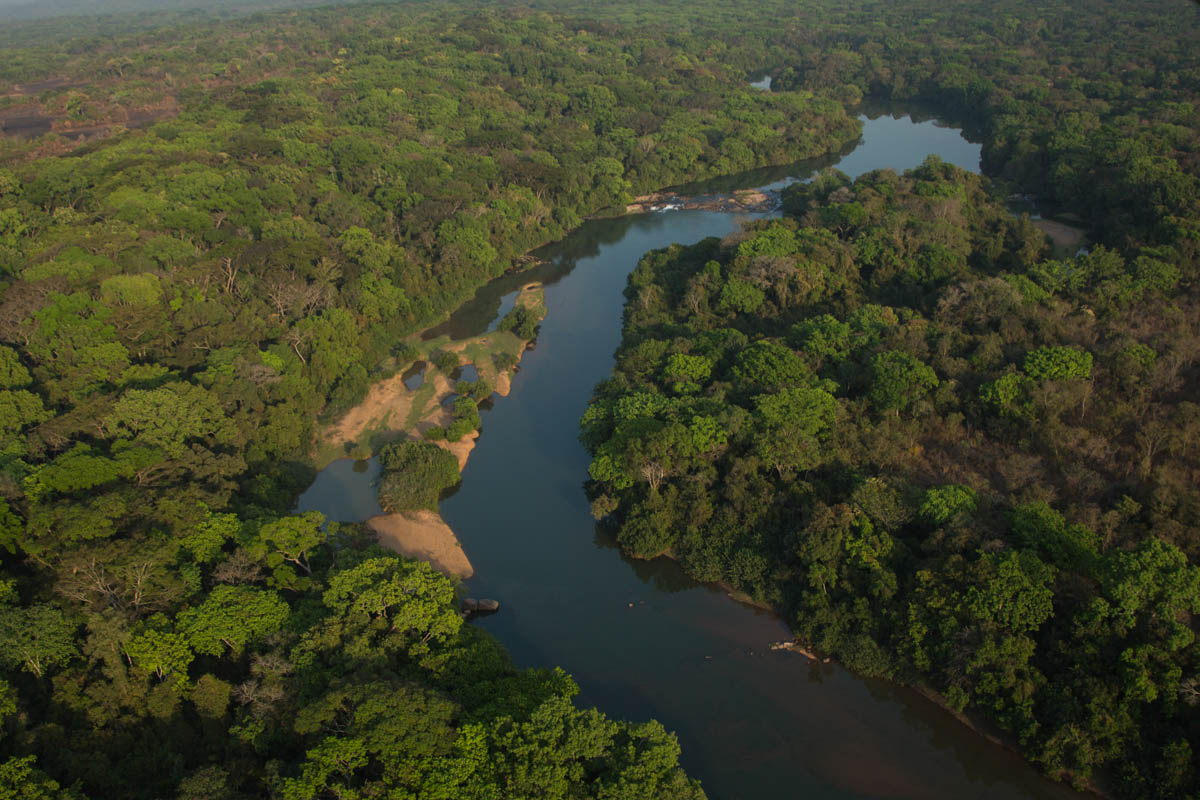 Fighting poachers in central Africa''s secret Eden