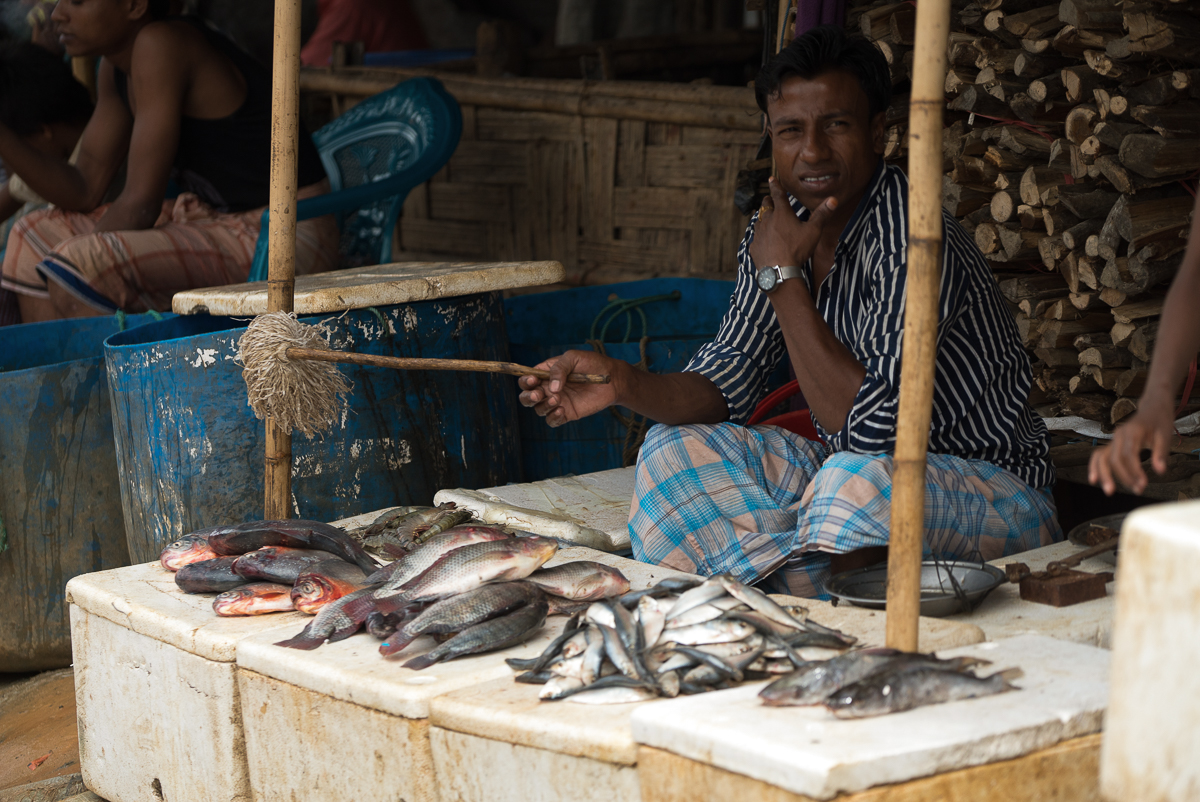 [Sorin Furcoi/Al Jazeera]