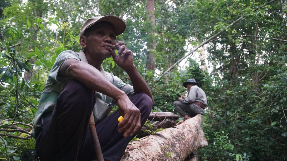 Vigilante Grandfathers
