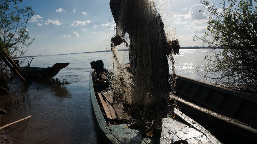 Experts are worried that a new dam will wipe out the species [Nathan Thompson/Al Jazeera]