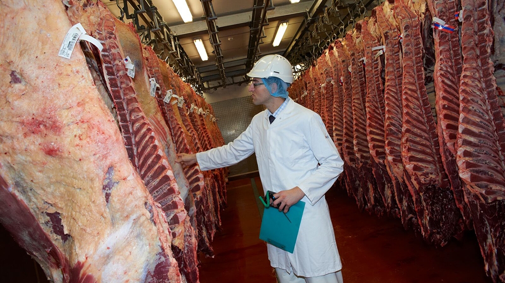 Abattoir Wales Story - DO NOT USE - RESTRICTED