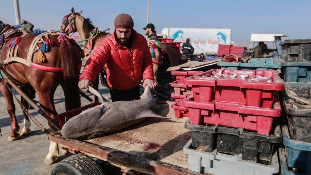 Fishermen complain about the devastating effect of Israel's 12-year blockade on Gaza [Walid Mahmoud/Al Jazeera]