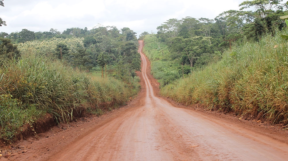 The Trans-Amazonian Highway