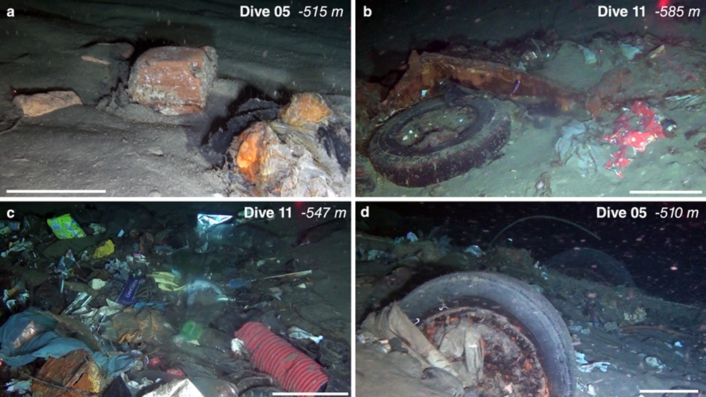 New Zealand litter accumulations observed within channels in the Messina Strait