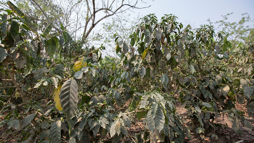The region where Juan is from is experienced a drought and severe poverty [Jeff Abbott/Al Jazeera]