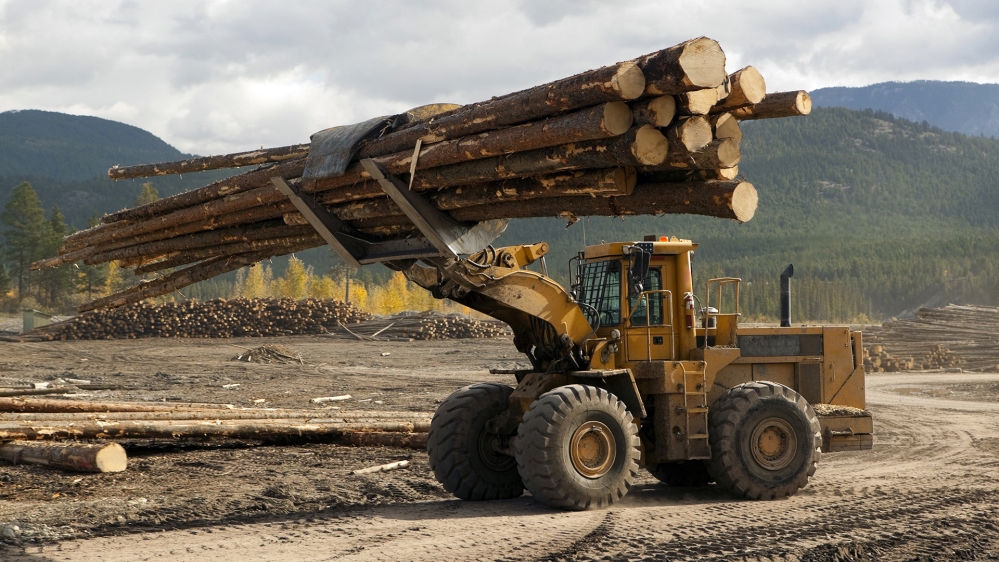 Front end log loader