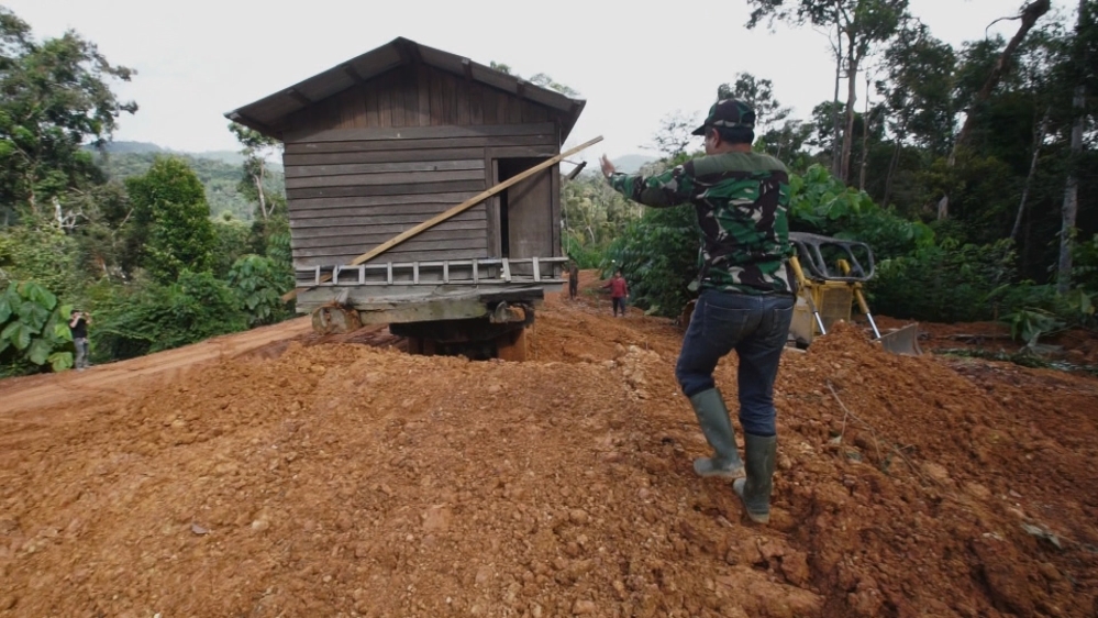Borneo - Risking it all