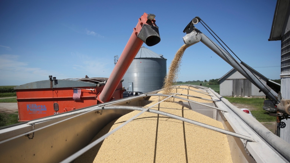 China US soybeans