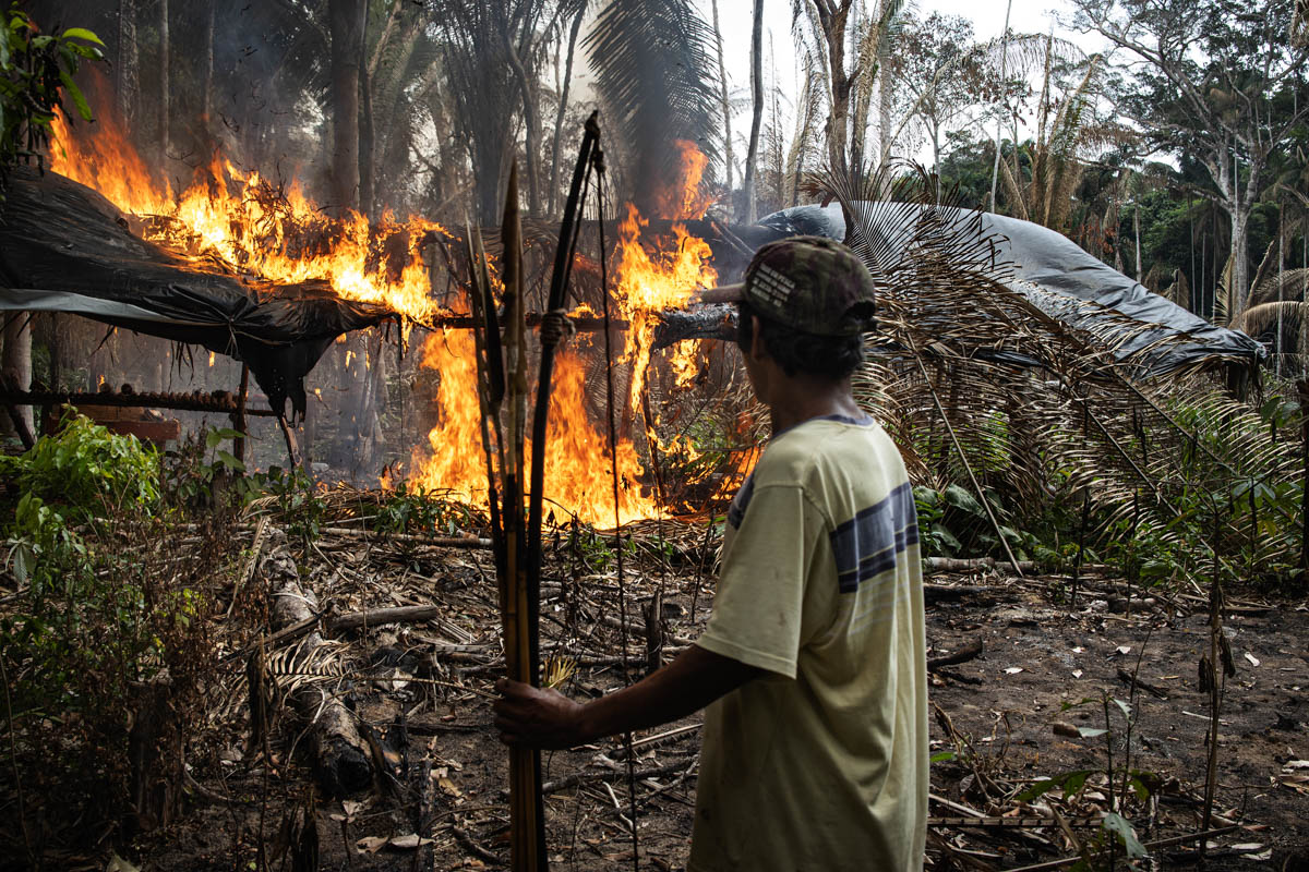 The Brazilian Amazon Rainforest