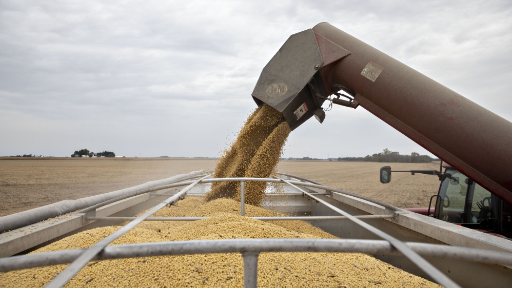 Soybean harvest US (Bloomberg)