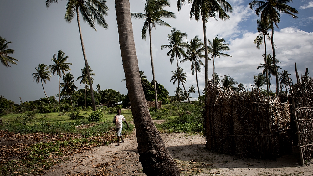 A boy from the village of Quitupo walks past palm trees in Palma on February 16, 2017. - The village of Quitupo will be resettled to make way for the new gas mining project in and around the district