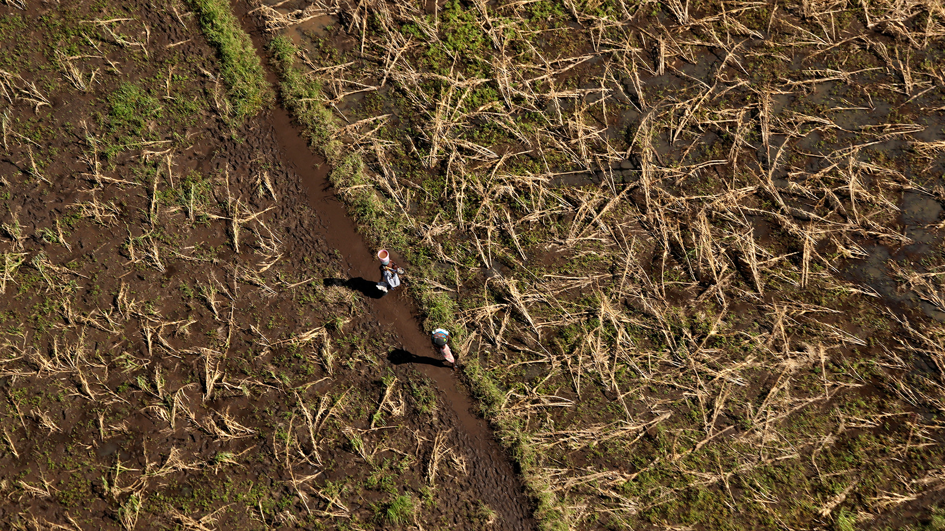 Only for Climate change child marriage feature