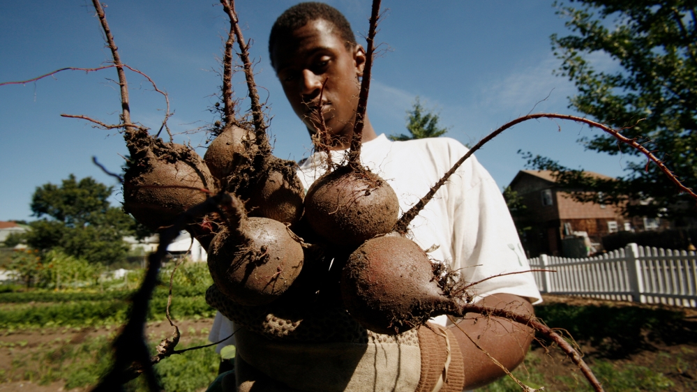 African-American farmer