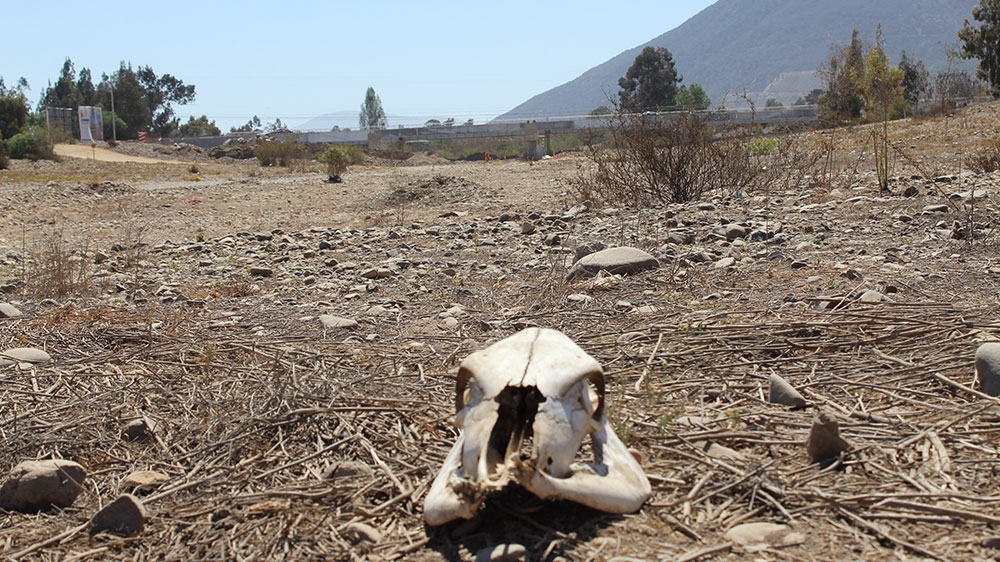 Chile drought