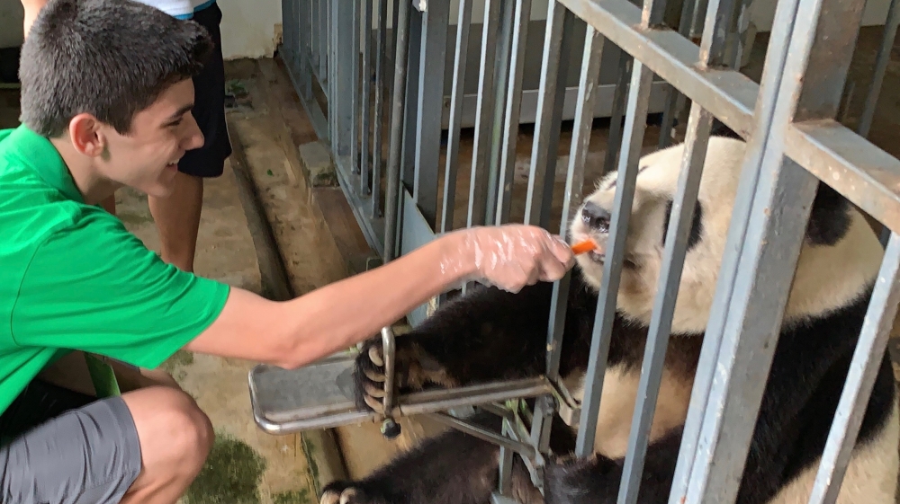 Motherless mothering: pandas and people - Jo Varnish essay - DO NOT USE