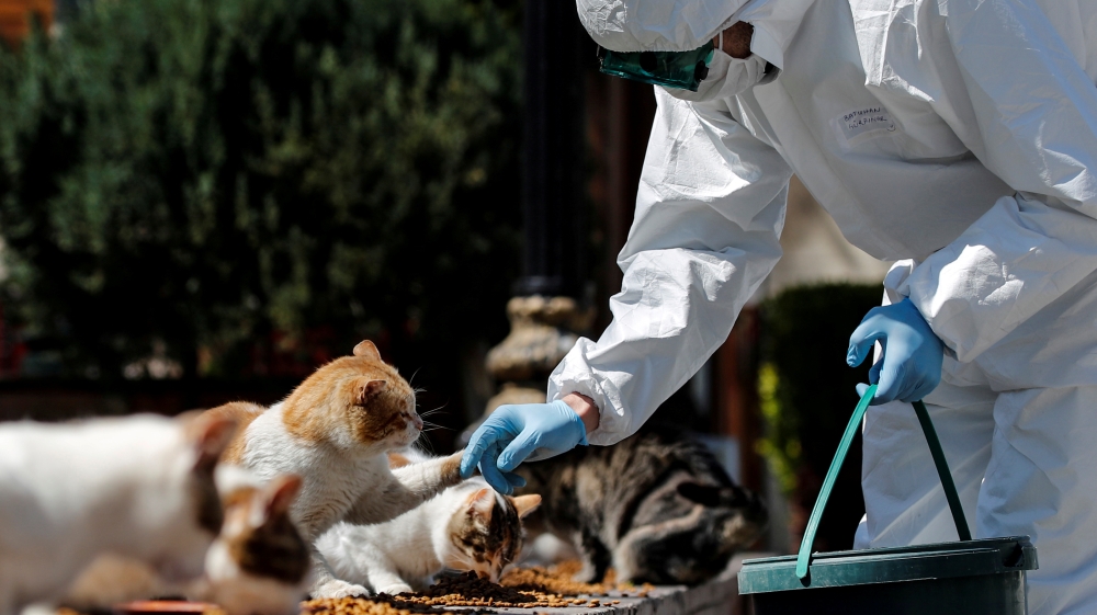 Spread of coronavirus disease (COVID-19) in Istanbul