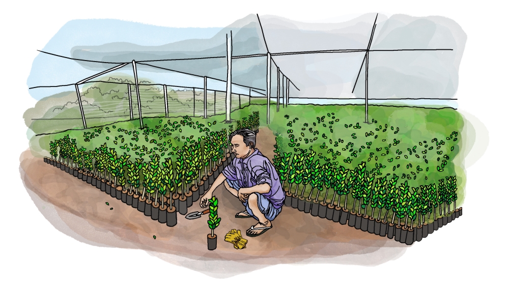 Illustration - Vietnam Mekong Delta [Zoe Osborne/Al Jazeera]