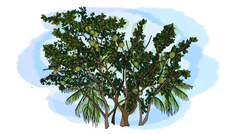 Illustration - Vietnam Mekong Delta [Zoe Osborne/Al Jazeera]