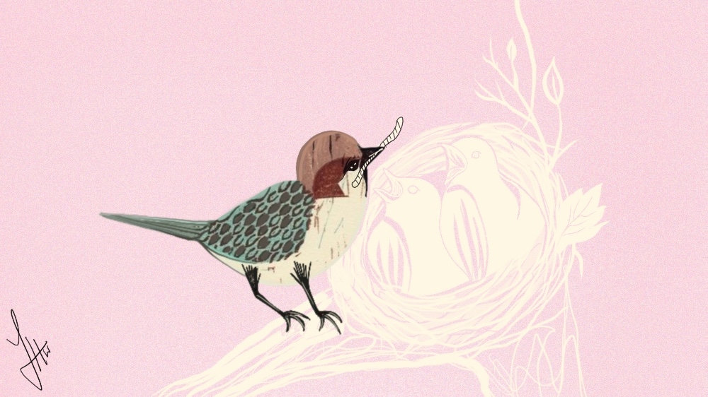 My mother the sparrow - illustrations