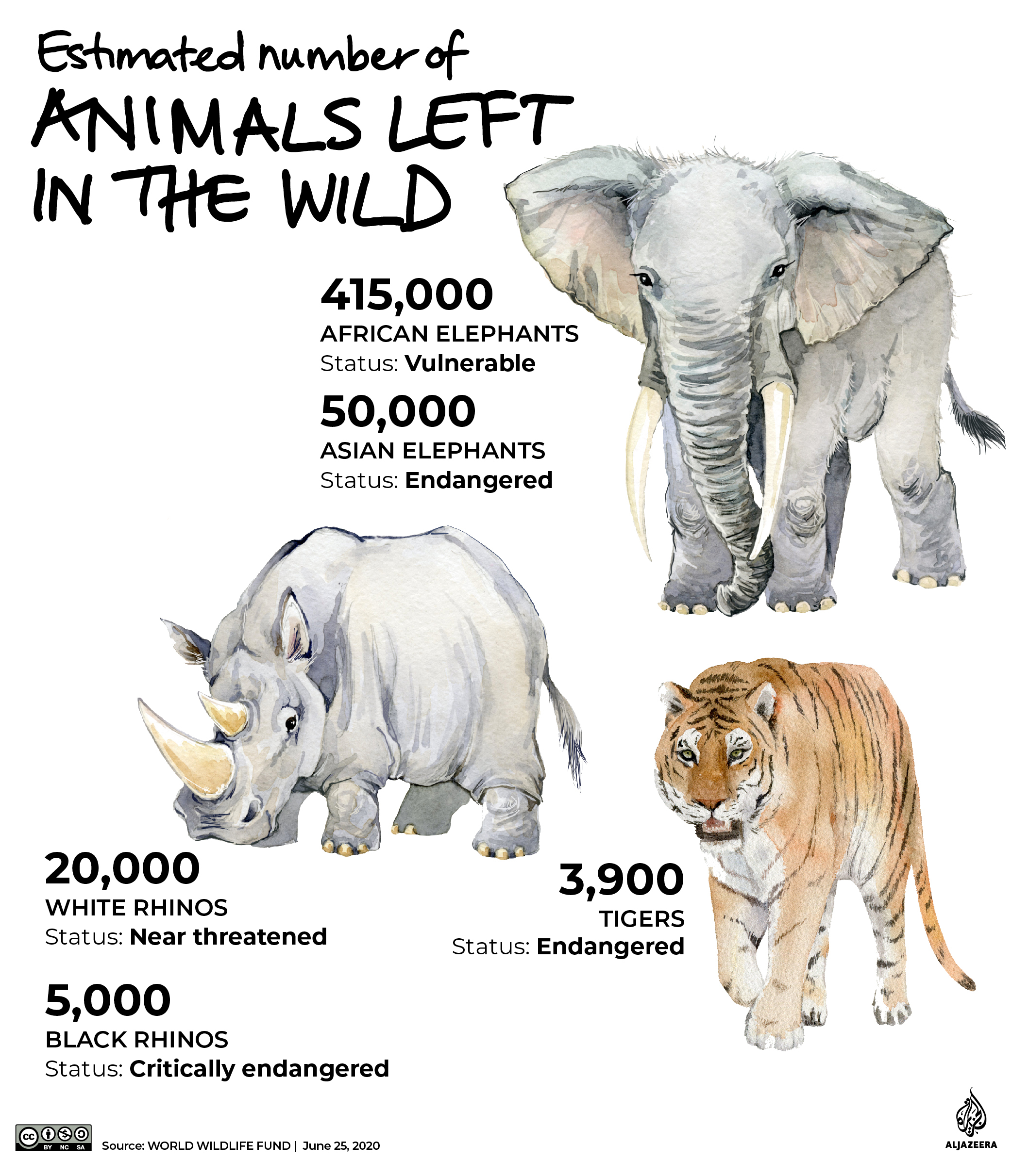 INTERACTIVE: The Green Read - pangolins and poaching