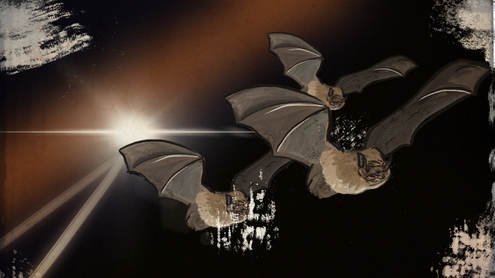 View from a dirty river - Deirdre Day